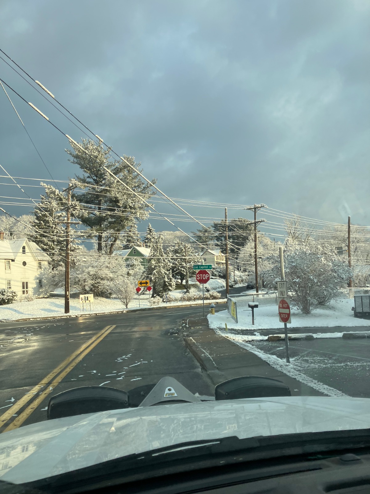 Broomall Tree Services: Expert Care for Healthy and Beautiful Trees